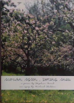 Autumn, Again. Spring, Anew | 9999903469353 | Stephen Morel