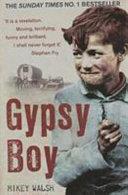 Gypsy Boy | 9999903362586 | Mikey Walsh,