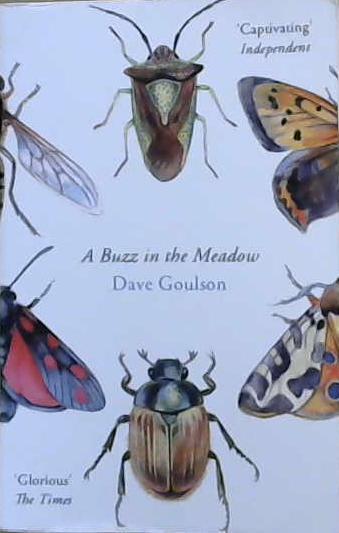 A Buzz in the Meadow | 9999903341925 | Goulson, Dave