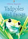 Tadpoles and Frogs | 9999903333548 | Anna Milbourne Christopher Mattison Alison Kelly