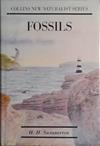 Fossils | 9999903458890 | H.H. Swinnerton