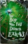 The Boy Who Fell Down Exit 43 | 9999903247197 | Harriet Goodwin
