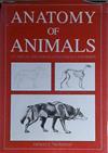 Anatomy of Animals | 9999903039464 | Thompson, Ernest E.