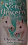 My Secret Unicorn | 9999903510239 | Linda Chapman