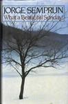 What A Beautiful Sunday | 9999902409084 | Semprun, Jorge