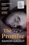 The Promise | 9999903480488 | Damon Galgut