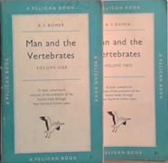 Man and the Vertebrates Vol. 1 and 2 | 9999903511236 | A.S. Romer