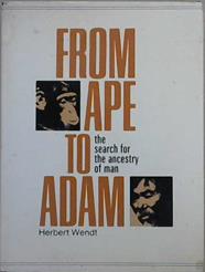 From Ape to Adam | 9999903060765 | Wendt, Herbert