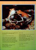 3D Thrillers! Jungle | 9999902124659 | Paul Harrison