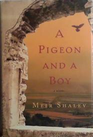 A Pigeon and a Boy | 9999903490463 | Meir Shalev
