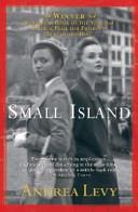 Small Island | 9999903145356 | Andrea Lévy