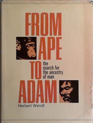 From Ape to Adam | 9999903423805 | Herbert Wendt