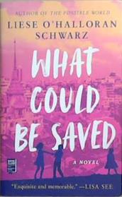 What Could be Saved | 9999903344544 | Liese O' Halloran Schwarz