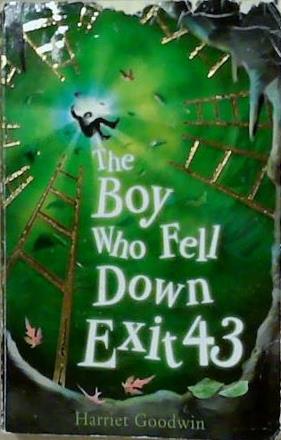The Boy Who Fell Down Exit 43 | 9999903247197 | Harriet Goodwin