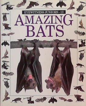 Amazing Bats | 9999903387916