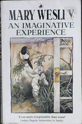 An Imaginative Experience | 9999903473817 | Mary Wesley,