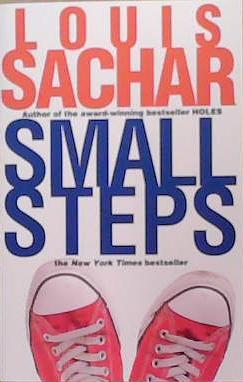Small Steps | 9999903353805 | Sachar, Louis