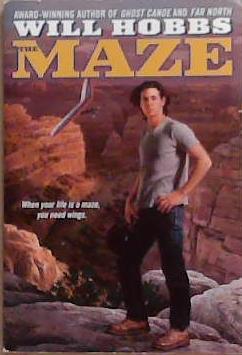 The Maze | 9999903363552 | Will Hobbs