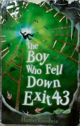 The Boy Who Fell Down Exit 43 | 9999903247197 | Harriet Goodwin